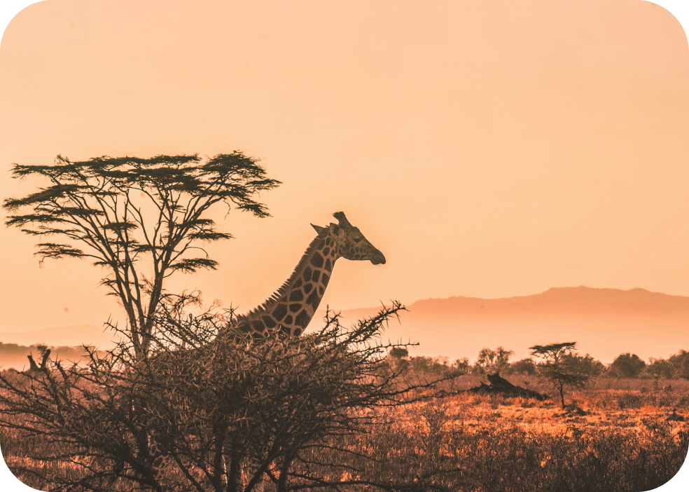 Nairobi